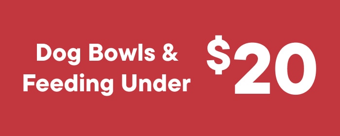 Dog Bowls & Feeding Under $20