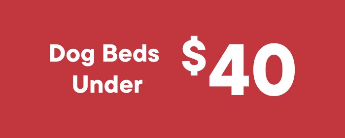 Dog Beds Under $40