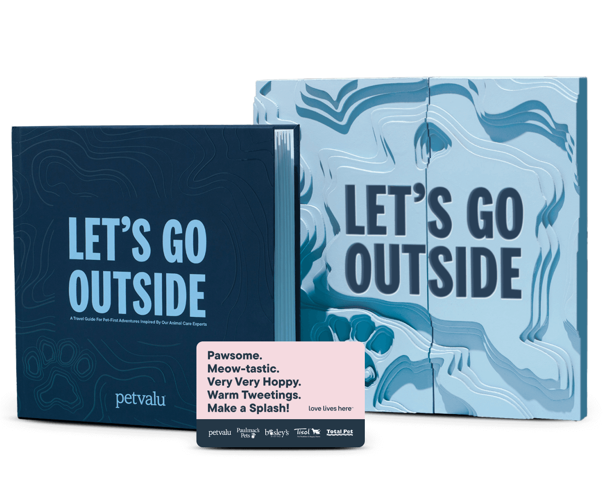 Let's Go Outside - Contest Image