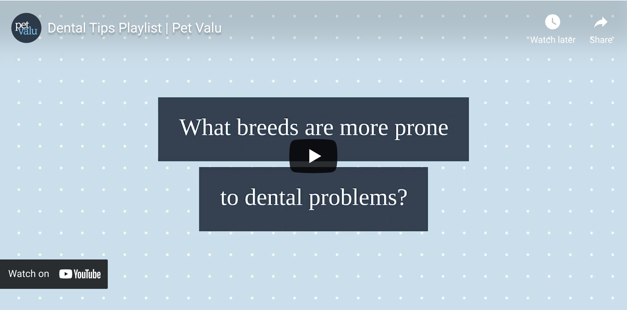 Dental Health Playlist – What breeds are more prone to dental problems?