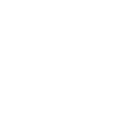 Raised - Dollar in Circle Icon