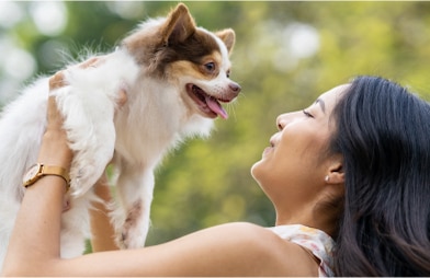 3 ways to bond with your pet this summer - Woman lifting her dog up