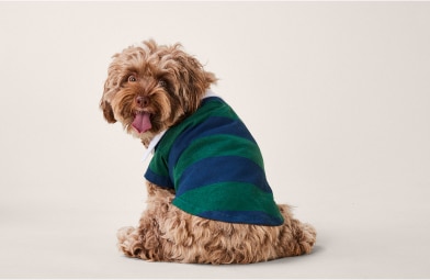 Bailey & Bella Striped Polo Shirt will have your pup looking best in class. With its pull over style for easy access, your pup will be the best dressed for any occasion.