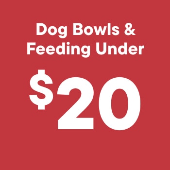 Dog Bowls & Feeding under $20