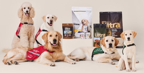 Subscriptions Give Back! - Dogs sitting in front of Performatrin Bags
