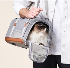 Lifestyle image of pet in soft carrier