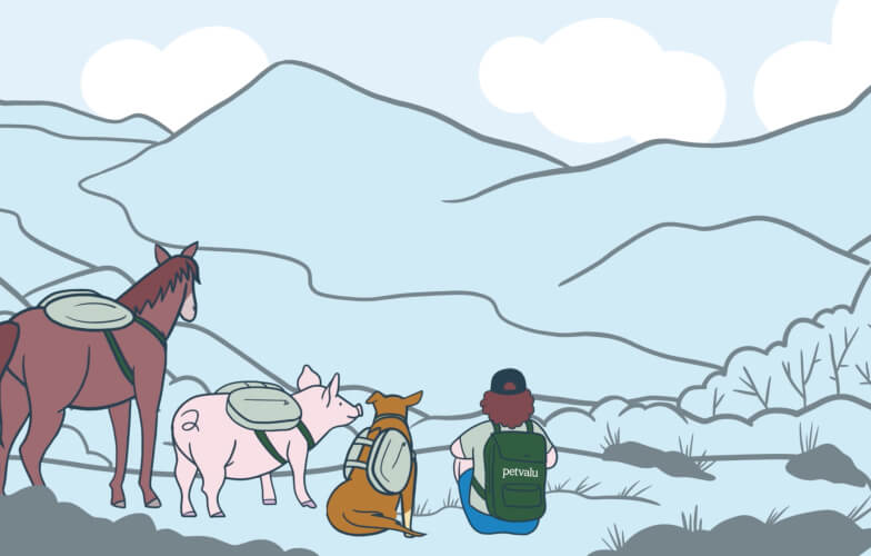 Pet Valu illustration of a dog a horse and a pig sitting together