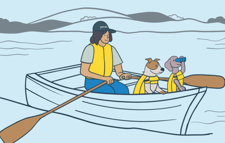 Paulmac’s Illustration of dogs in a canoe
